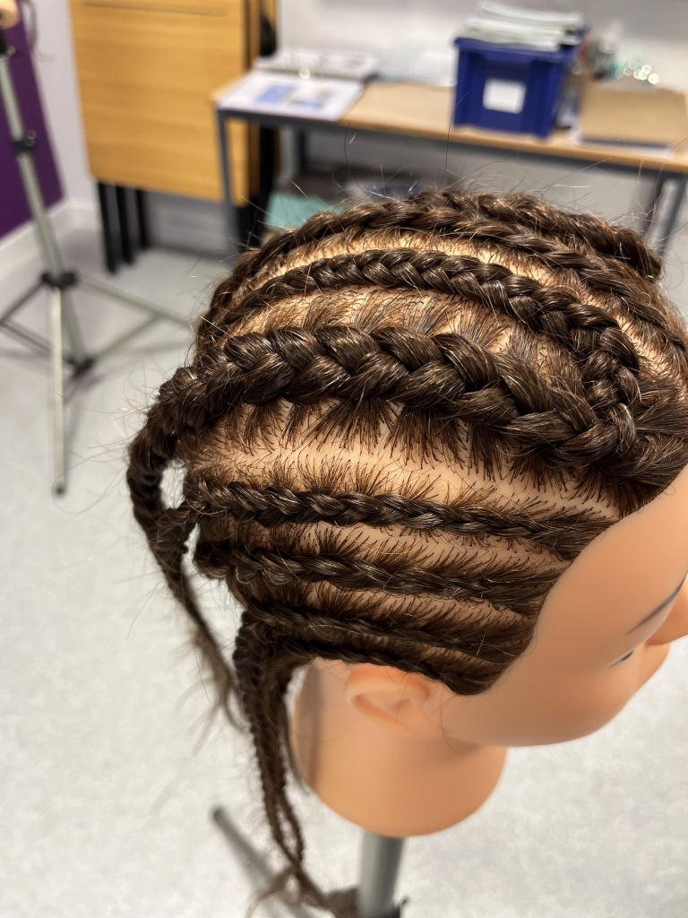 corn rows