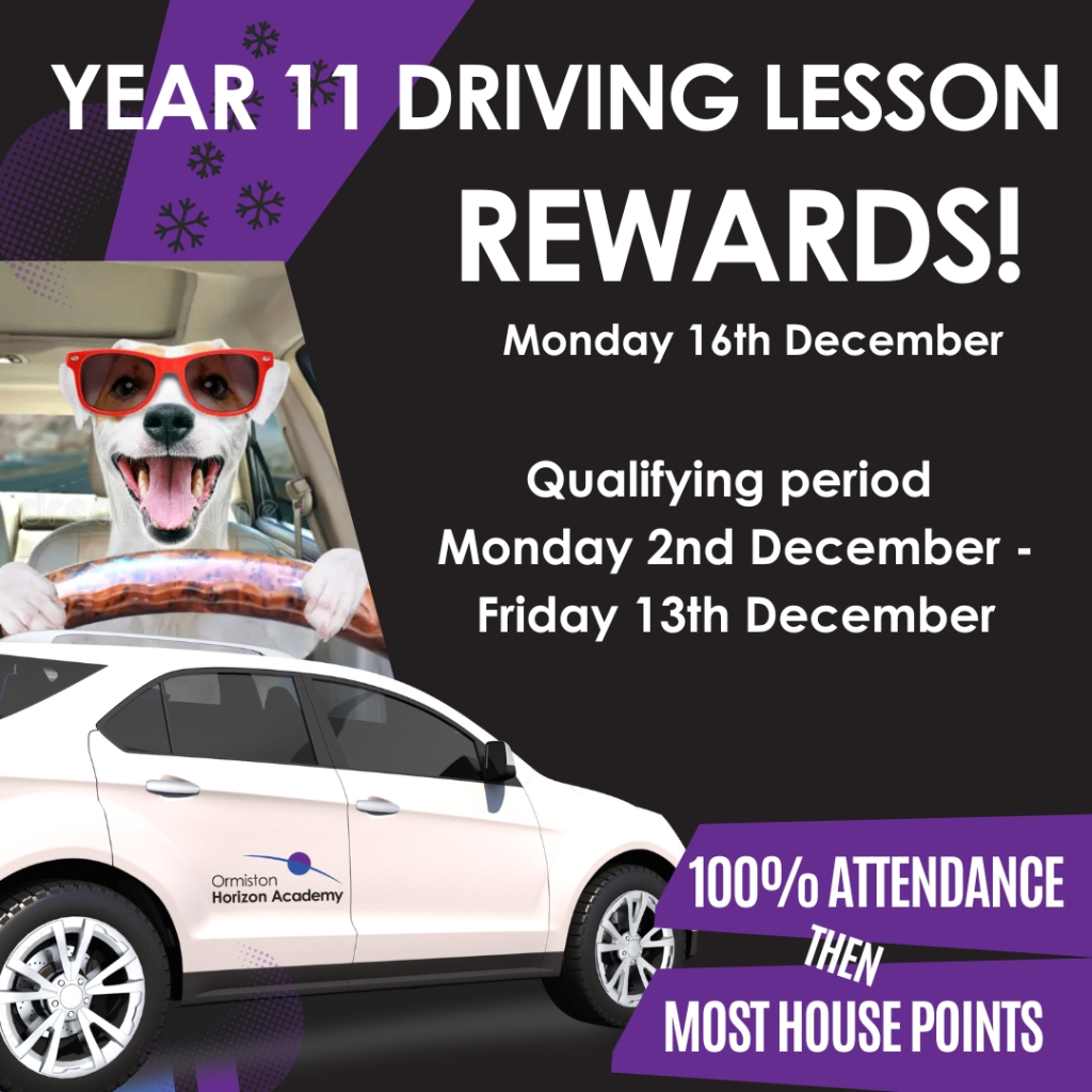 driving lesson poster